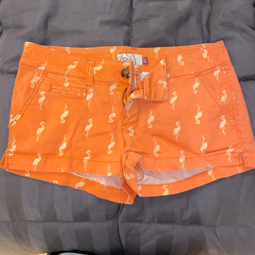 Flamingo print short shorts!